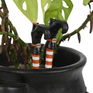 Witch Legs Set of 2 Plant Pot Ornaments