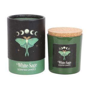 Midnight Luna Moth White Sage Candle