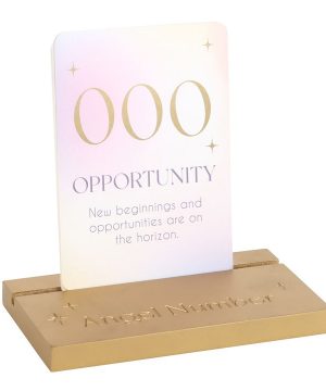 Angel Number Affirmation Cards with Wooden Stand