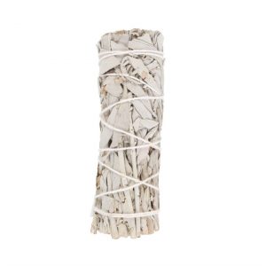 White Sage 10cm Smudge Stick Wand
