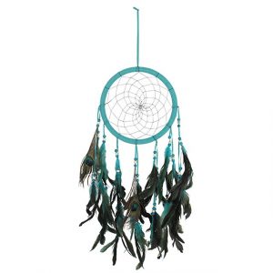 Peacock Feather Turquoise Dreamcatcher