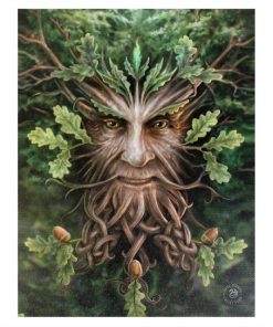 Oak King 19 x 25cm Canvas Plaque by Anne Stokes
