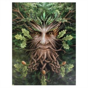 Oak King 19 x 25cm Canvas Plaque by Anne Stokes