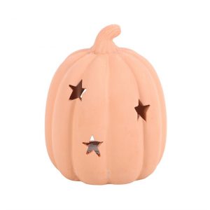 Terracotta Pumpkin 9cm Tealight Holder