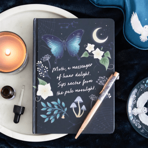 Midnight Luna Moth Journal with Amethyst Pen