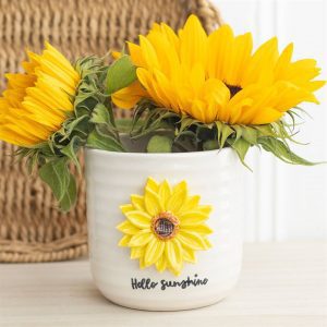 Sunflower 3D Hello Sunshine Plant Pot