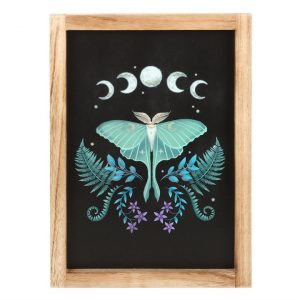 Midnight Luna Moth Wooden Framed Wall Art