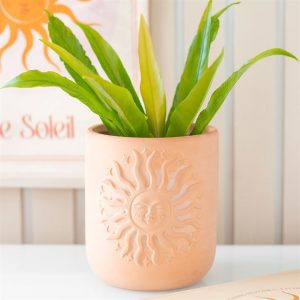 Sun Terracotta Plant Pot